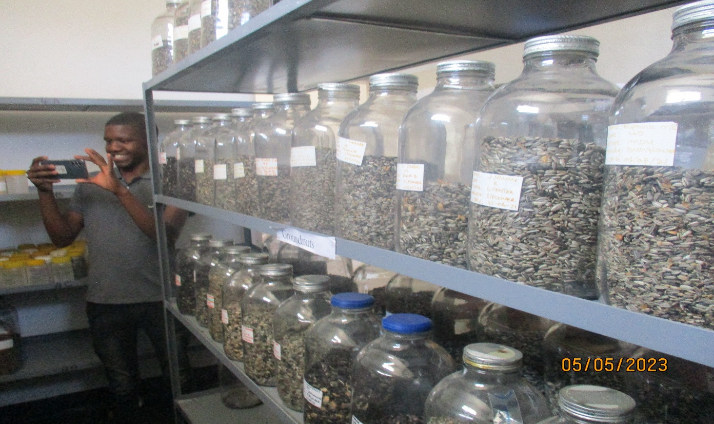 Small Grain Production